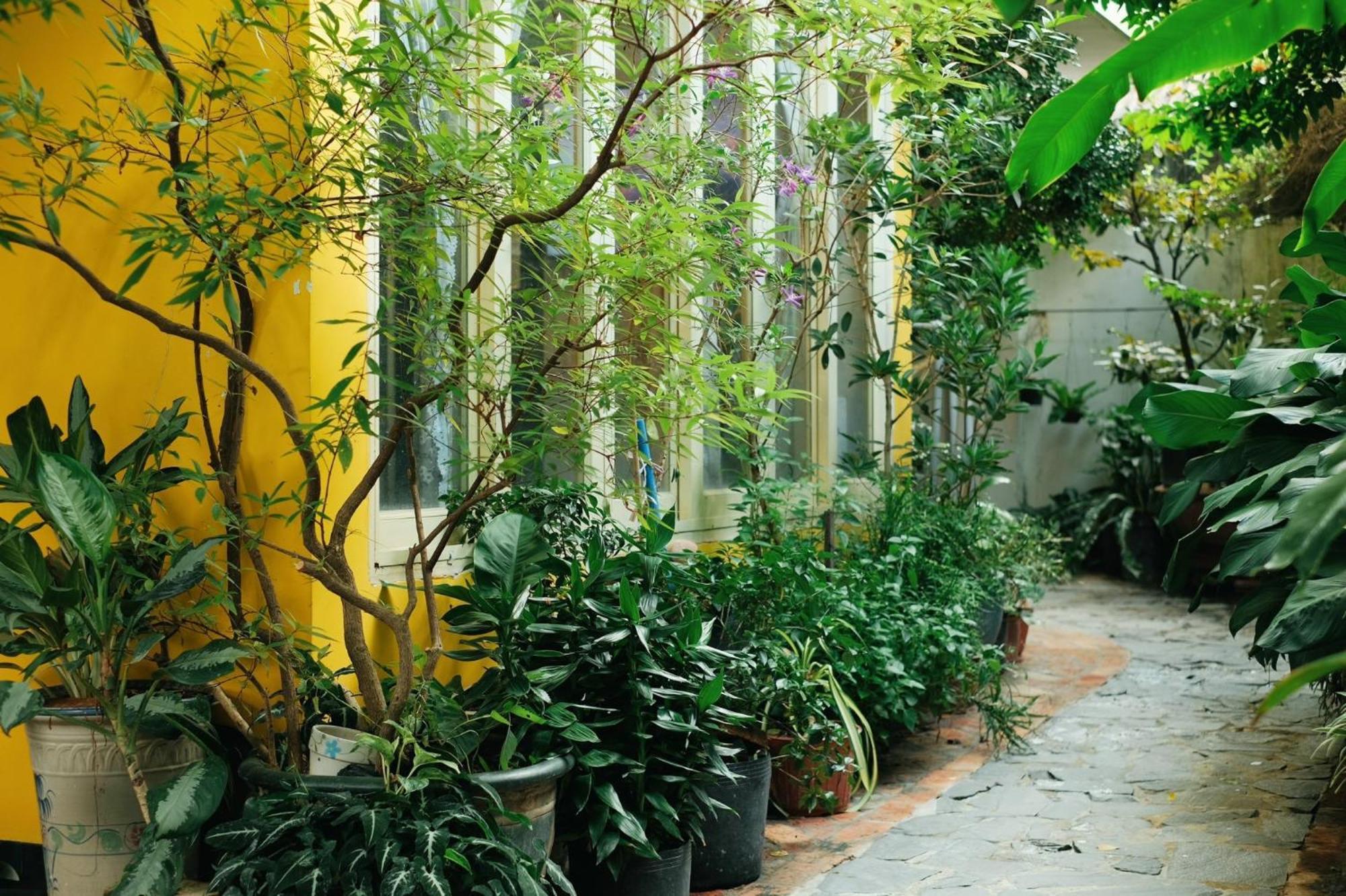 Homestay In Tây Ninh Eksteriør billede